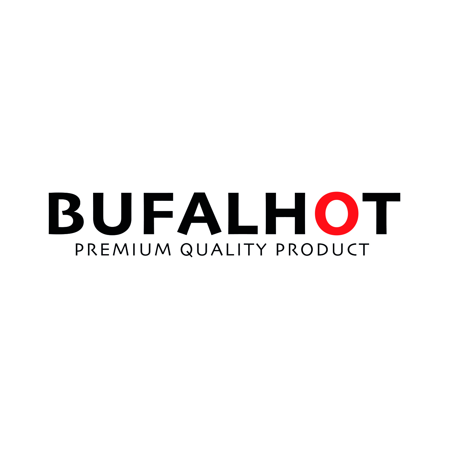 Logo-BFH